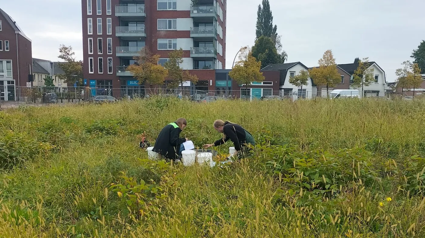 Twee medewerkers van Sigma doen een infiltratieproef in een grasveld