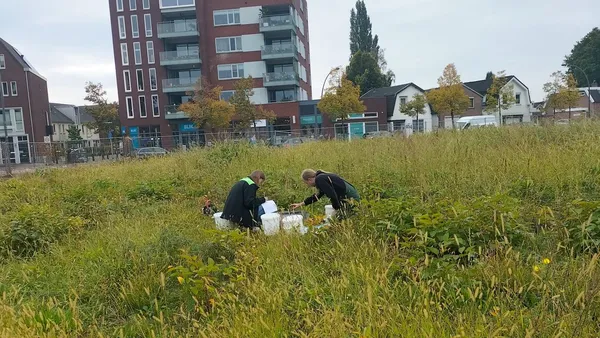 Infiltratieonderzoek